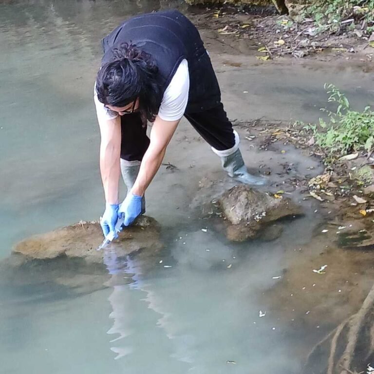 Wairoa Awa Mauri Restoration: Protecting Our Environment for the Future